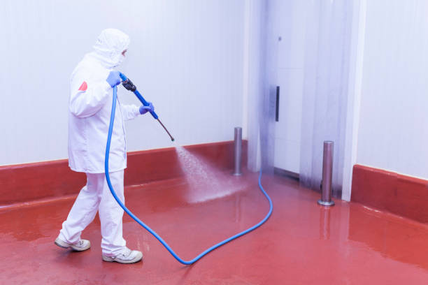 Trusted Jefferson, WI Pressure Washing Services Experts